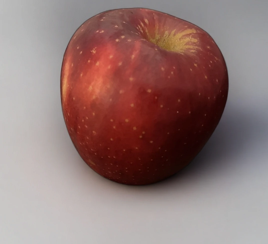 Marketplace Image Rules Quick Check 01